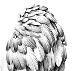 Realistic wing  tattoo design high resolution download