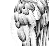 Realistic wing  tattoo design high resolution download