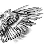 2 x realistic sexy wing tattoo design high resolution download