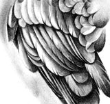 Realistic sexy wing  tattoo design high resolution download