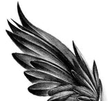 2 x sexy wing tattoo design high resolution download