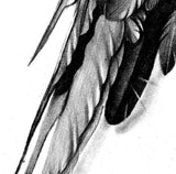 Realistic sexy wing  tattoo design high resolution download