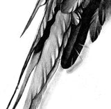 Realistic sexy wing  tattoo design high resolution download