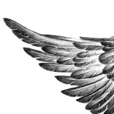 2 x realistic wing  tattoo design high resolution download