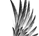 Sexy realistic wing  tattoo design high resolution download