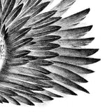 Sexy realistic wing  tattoo design high resolution download
