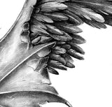 Realistic wing  tattoo design high resolution download