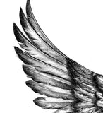 2 x sexy wing tattoo design high resolution download