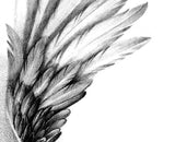 Realistic wing  tattoo design high resolution download