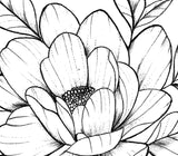 Sexy peony linework forearm tattoo design high resolution download
