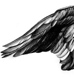 Sexy realistic wing tattoo design high resolution download