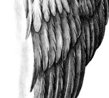 Realistic sexy wing  tattoo design high resolution download