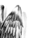 Realistic sexy wing  tattoo design high resolution download