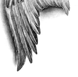 Realistic Wings  tattoo design high resolution download