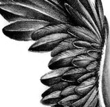 Sexy realistic wing  tattoo design high resolution download