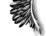 Sexy realistic wing  tattoo design high resolution download