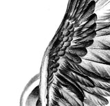 Realistic wing  tattoo design high resolution download