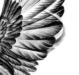 Realistic wing  tattoo design high resolution download
