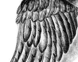Sexy realistic wing  tattoo design high resolution download