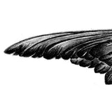 Realistic wing sexy  tattoo design high resolution download
