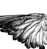 Realistic wing sexy  tattoo design high resolution download