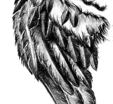 Realistic wing sexy  tattoo design high resolution download