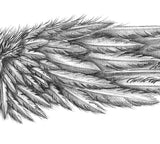 Realistic sexy wing  tattoo design high resolution download