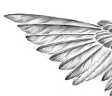 Sexy wing  tattoo design high resolution download