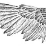 Sexy wing  tattoo design high resolution download