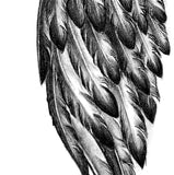 Realistic wing  tattoo design high resolution download