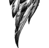 Realistic wing  tattoo design high resolution download