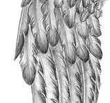 Realistic sexy wing  tattoo design high resolution download