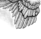 Sexy wing  tattoo design high resolution download