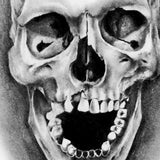 3 realistic skull tattoo design high resolution download