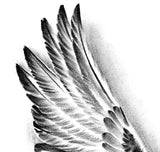 2 x realistic sexy wing tattoo design high resolution download