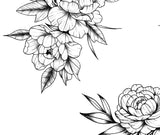 5 x sexy Peony linework design download high resolution download