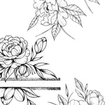 5 x sexy Peony linework design download high resolution download