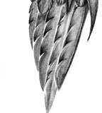 Realistic sexy wing  tattoo design high resolution download