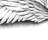 Realistic wing tattoo design high resolution download