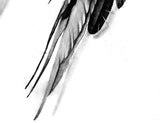 2 x realistic sexy wing - download tattoo design