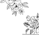 5 x peony linework tattoo design high resolution download