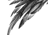 Sexy realistic wing tattoo design high resolution download