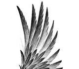 2 x realistic wing  tattoo design high resolution download