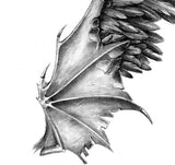 2 x realistic wing  tattoo design high resolution download