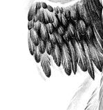 Realistic sexy wing  tattoo design high resolution download