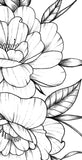 Half sleeve peony linework tattoo design high resolution download