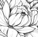 Half sleeve peony sexy tattoo design high resolution download