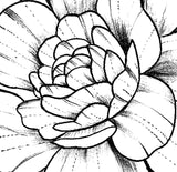 Linework peony sexy tattoo design high resolution download
