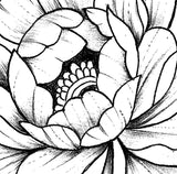 Linework peony tattoo design high resolution download