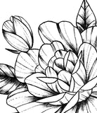 Sexy peony linework forearm tattoo design high resolution download